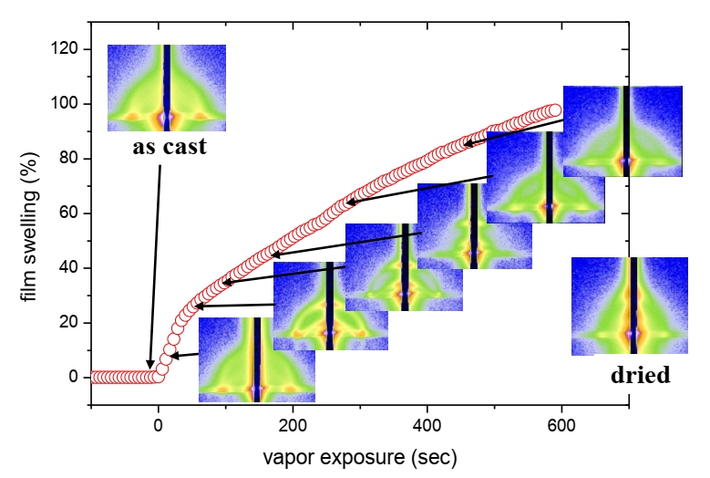 Solvent Vapor Annealing